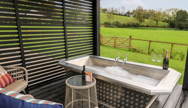 Dragonfly Shepherd's Hut