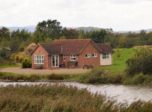 Dragonfly Stays at Lower Lakes
