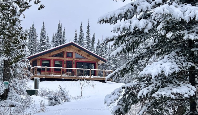 Dragonfly - Unique, tranquil retreat in Grand Marais, MN