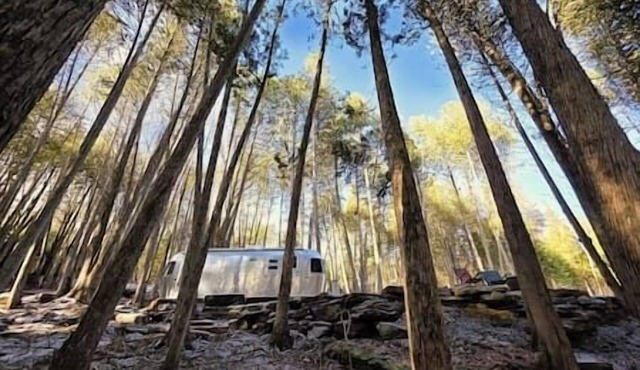 Dragonwood Airstream