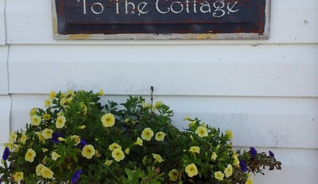 Dream along the St. LAWRENCE