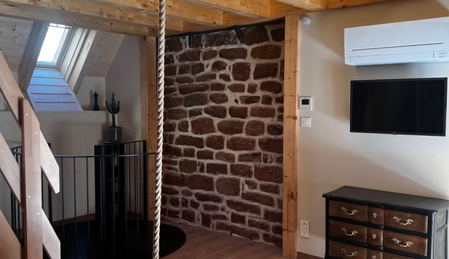 Dream barn with hanging bed