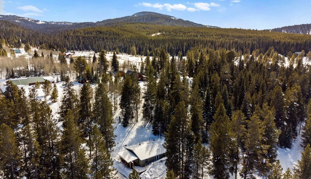 Dream Catcher: Spacious 3-bedroom home just 7 minutes from Yellowstone.