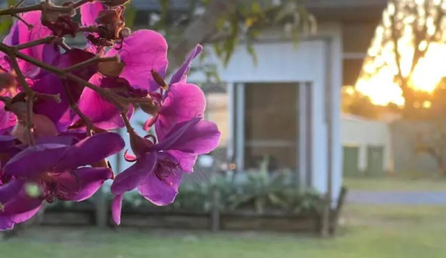 Dream Holiday Condo w Caravan Parking @ Kallangur