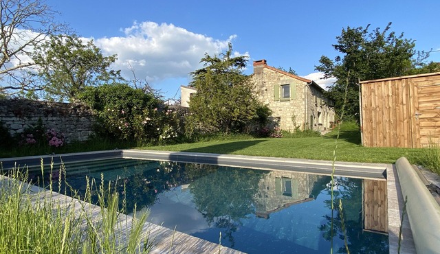 Dream house with swimming pool surrounded by vineyards