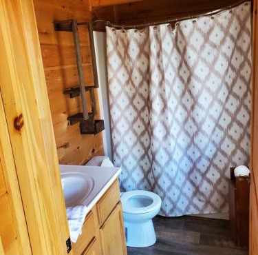 Dream of a log cabin