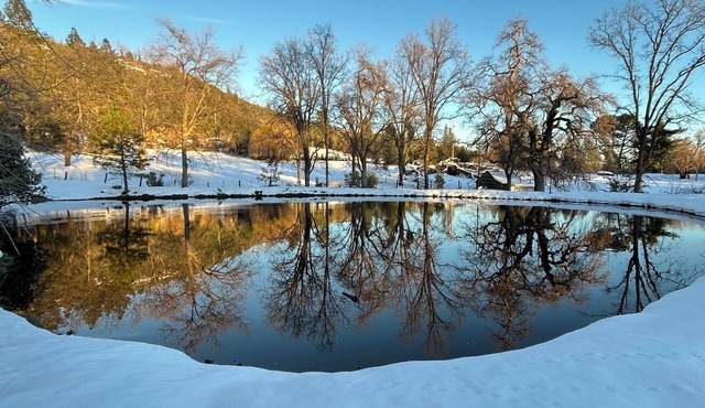 Dream Ranch (Baghe Arezoo)
