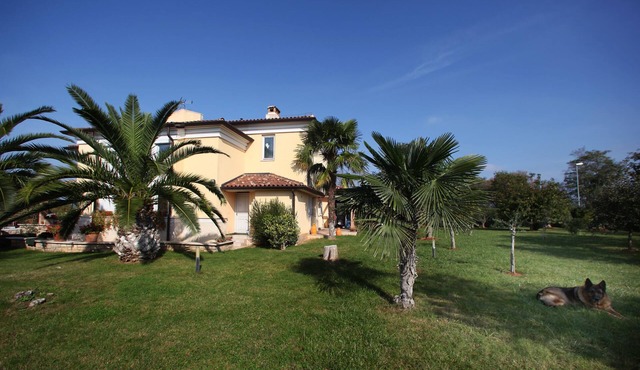 Dream villa with large swimming pool, 800m from the sea with 5 bedrooms 4 bathrooms
