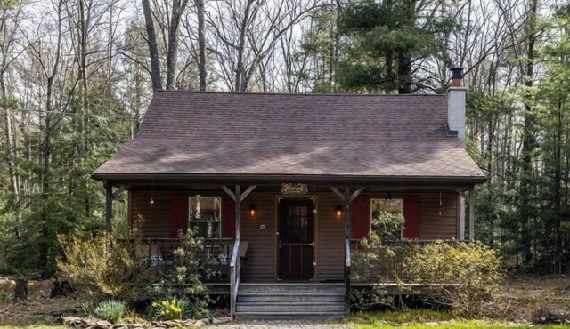 Dream Weaver : Pet Friendly!