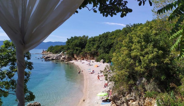 Dreamcatcher close to everything- pet friendly beach nearby