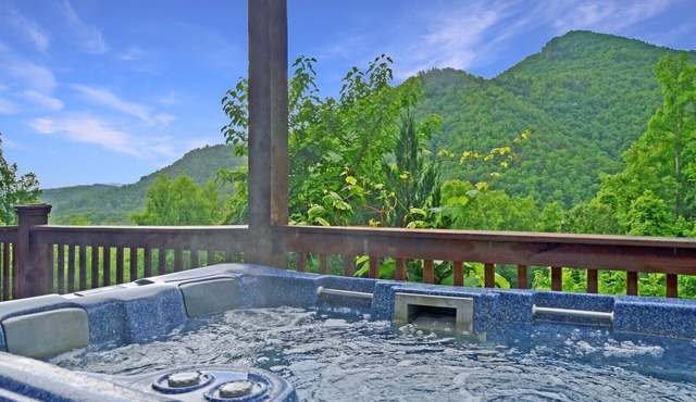 Dreamcatcher - Free Tour Tix - secluded - Fire Pit and Outdoor Bed Swing