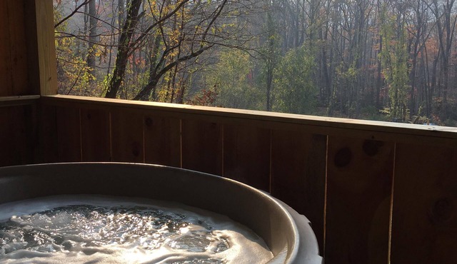 Dreamin Hollow: Your Peaceful Asheville Hideaway