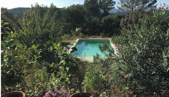 Dreaming in Provence among the olive trees, with a view of the Sainte Beaume mountain range