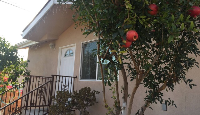 Dreams & Streams . Second dwelling with front yard and backyard.