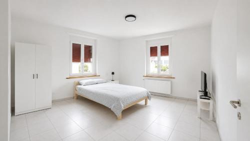 DreamWork Point Grenchen