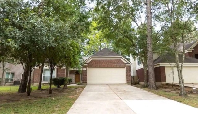 Dreamy 3 Bedroom House in the Woodlands