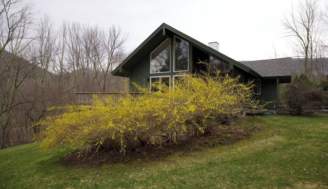 Dreamy, contemporary 3-bedroom country home in Sandgate - Great for families!