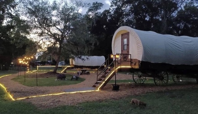 Dreamy Covered Wagon Farm Experience