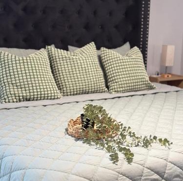 Dreamy Stay Oasis