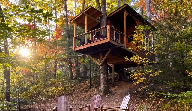 Dreamy Treehouse Getaway ~Dog Friendly~Disc Golf