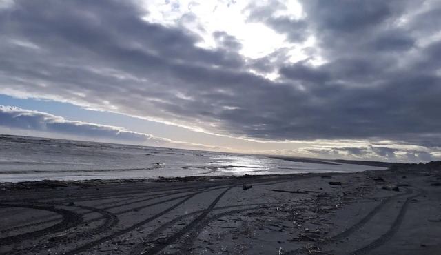 Drift Inn Romantic seafront entire beach house.