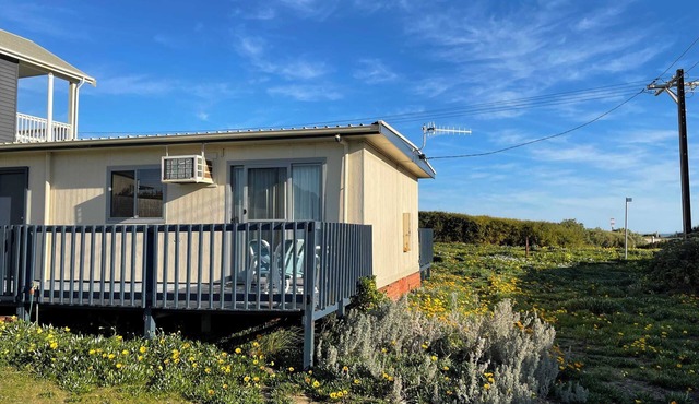 Driftwood 162 Surfers Pde Middleton