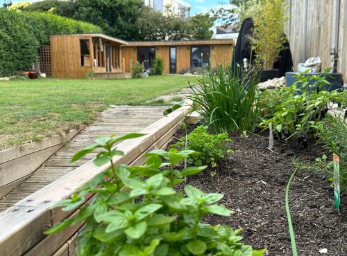 Driftwood at BotanyBay