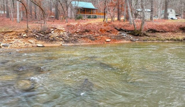Driftwood Cabin a waterfront cabin with everything