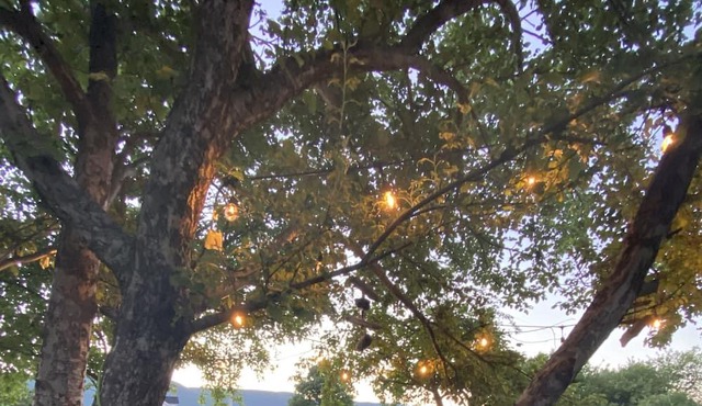 Driftwood Cottage, The Gateway to the Cabot Trail.