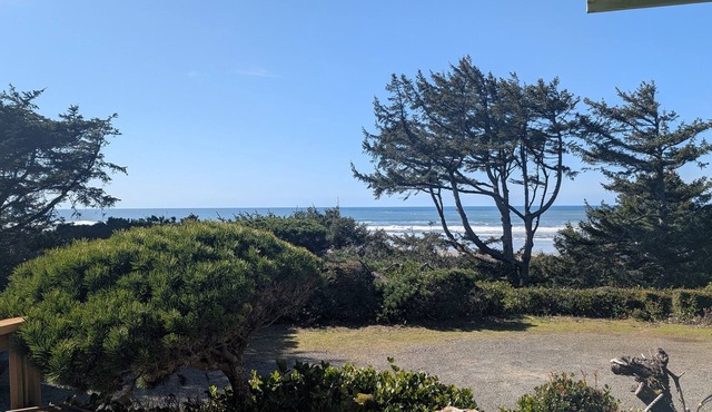 Driftwood Heights at Heceta Beach