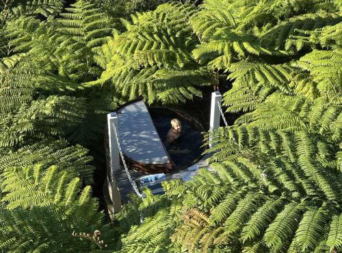 DRIFTWOOD- Hidden Gem, great view in a nature setting