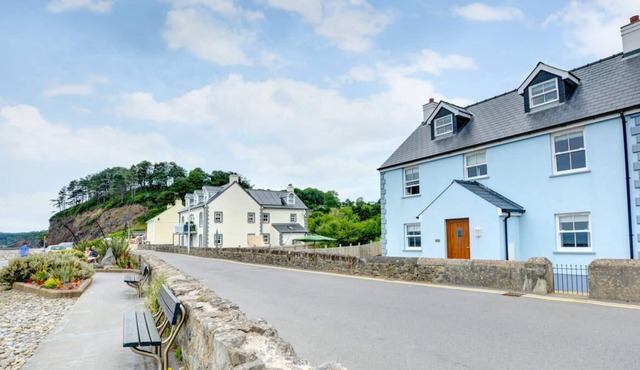 Driftwood in the beautiful Narberth