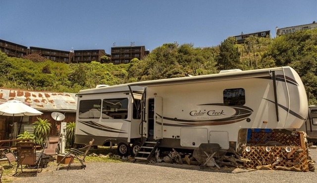 Driftwood - In the heart of Fort Bragg close to world class beaches, hikes and more.