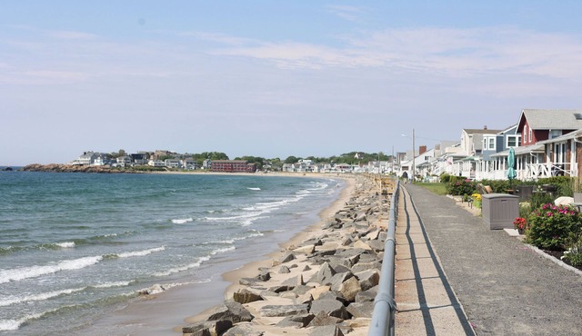 Driftwood Long Beach