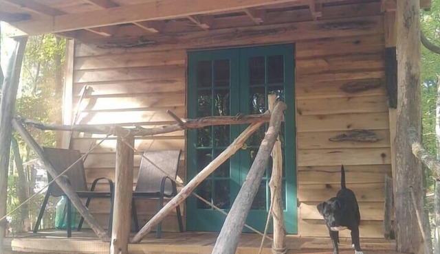 Driftwood Treehouse Cabin w/AC, Peaceful & Cozy!