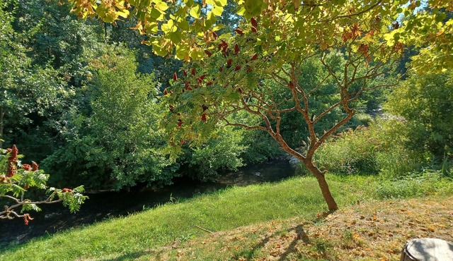 Drôme provençale house with swimming pool and river