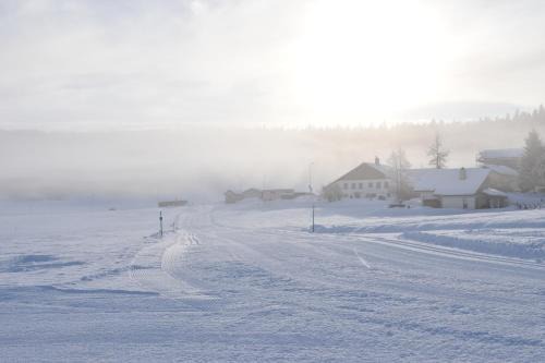 Drosera appartement et studio de vacances