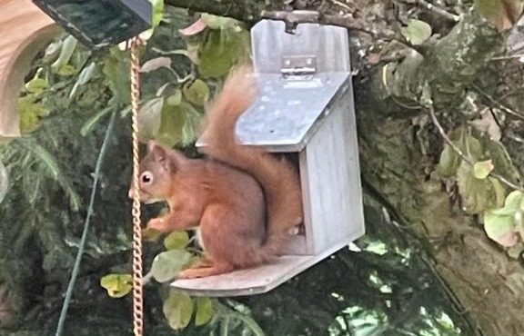 Drummond Neuk - Pets Welcome free, country setting, free onsite parking