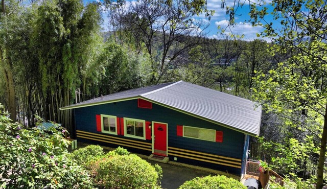 DT Asheville - Zurich MNT Chalet #9B/Low Cost Uber
