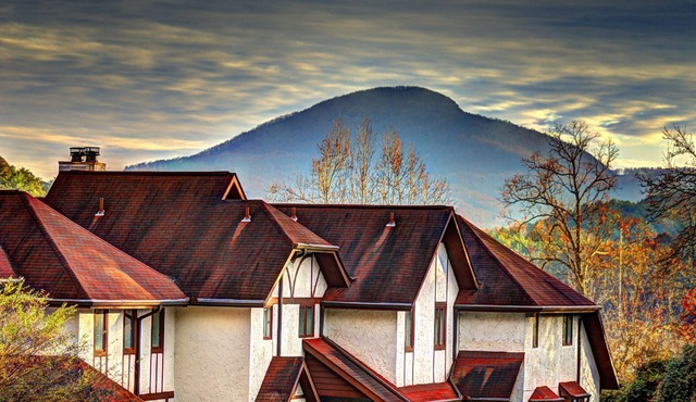 DT Helen on River Sleep 10-14, 3-4BR, 2-3.5BA Yonah View: Das Mahlberg Gastehaus