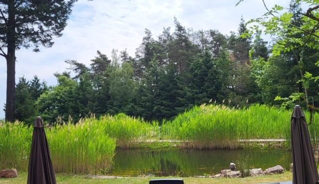 Du côté de Chez SAM La Marguetière