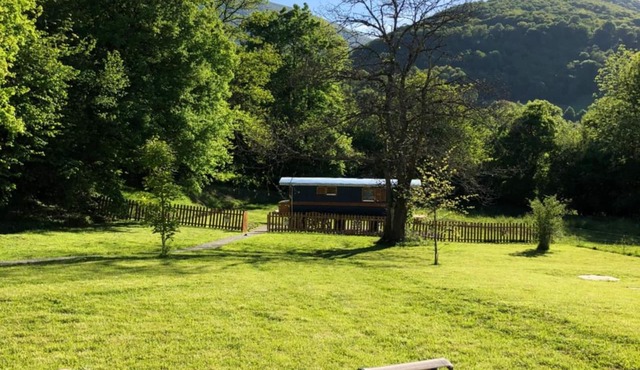 Du Côté de Lacoume