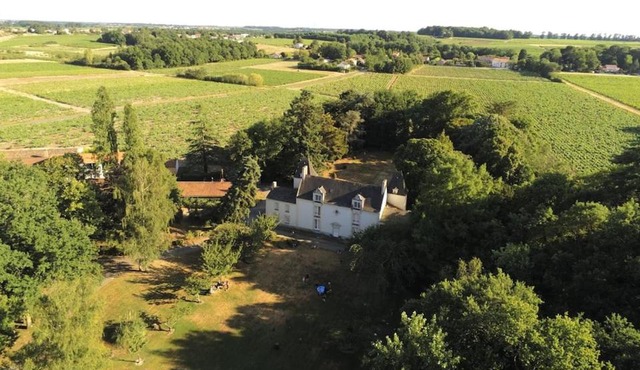 Du Vignoble à l'Atlantique - Château Cassemichère gîte