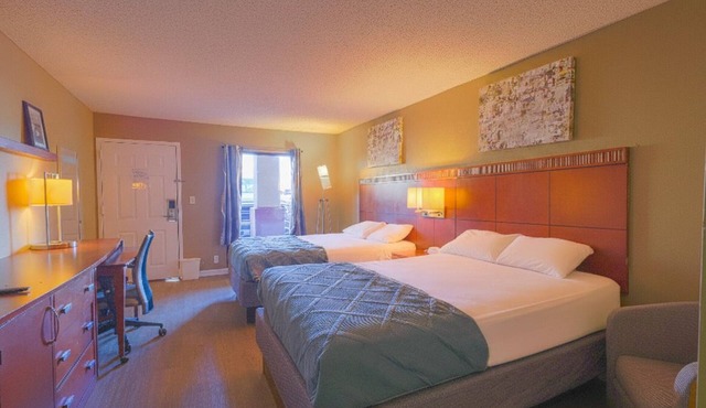 Dual Light-Filled & Comfy 2 Queen Bed Room w/Easy Access to Local Attractions