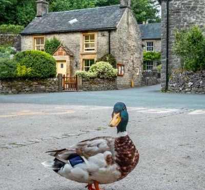 Duck Cottage Milldale Alstonefield Peak District
