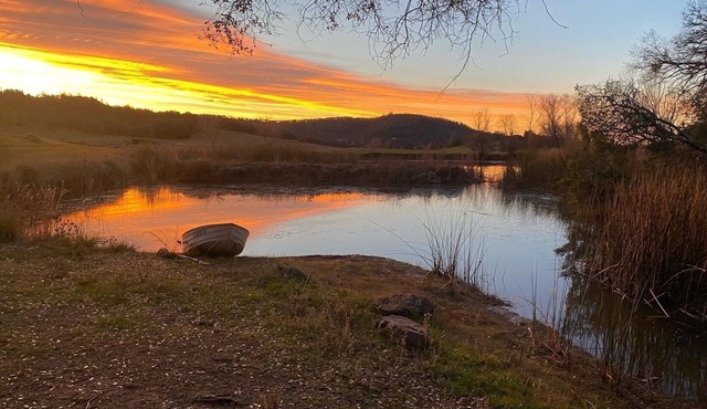 Duck Pond Cabin-Private Cabin on 400 Acre Ranch