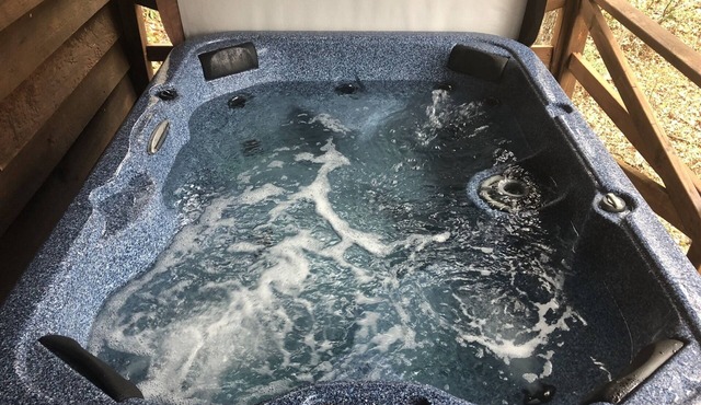 Duck`s Nest Retreat | 1 Bed, 1 Bath | Pets ok | Hot tub | Fishing Onsite