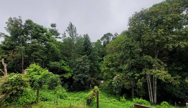 Duckbills Cottage has the convenience of town living but with rural nature feel