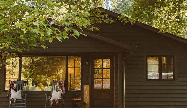 Dudley Creek Cottage; cozy little cottage. Hot tub + fire pit + arcade!