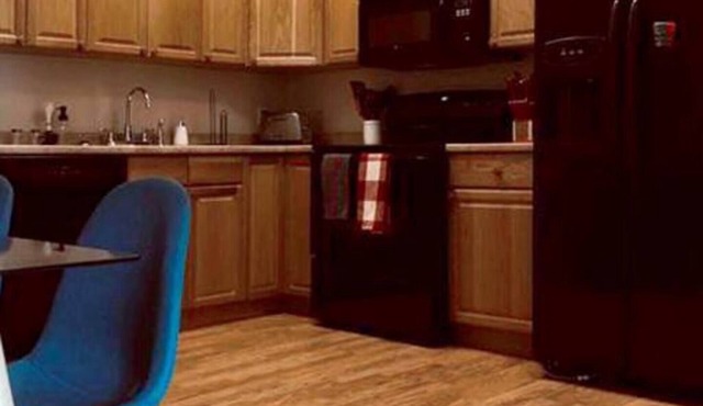 Dug Bar Den-Pet Friendly! Home base for exploring!